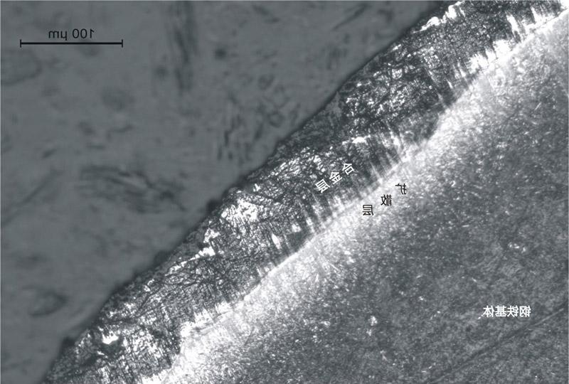 锌镍渗层金相图
